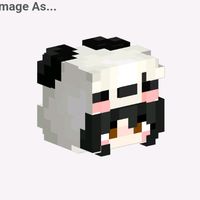 shalsamc_