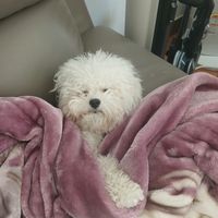 7시라고
