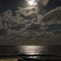 الصوت الأصلي