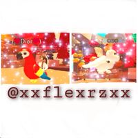 xxflexrzxx