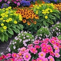 original sound - oooo63612