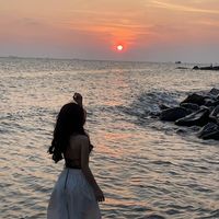 nhạc nền - Phươnglynh 🥰🥰