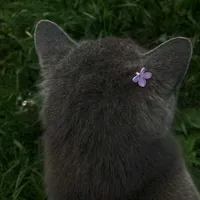 original sound - nstwiox_