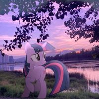 user14361530193924