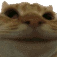 original sound - can we goback tothe beginning?