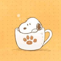 frw_oshikatsu
