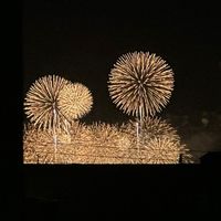 hamu_1015