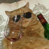 오리지널 사운드 - 🐱썬글냥🐱