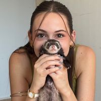 casquinhamistadesocupada