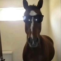 nhạc nền - Biigi