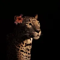 original sound - isa.bratzdoll