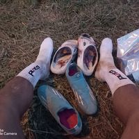 neira_denis7