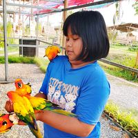 เสียงต้นฉบับ - วีต้าุ'''ป/4