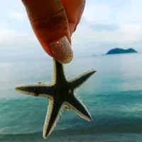 original sound - fonindy8788