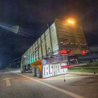 salesneto250