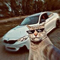 الصوت الأصلي