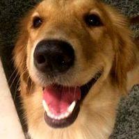 原声 - 一起笑一笑