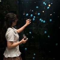 nhạc nền - maitrúc ɯɐıʇɹńɔ