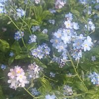 オリジナル楽曲 - やむん