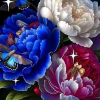 original sound - Ei Ei phyo