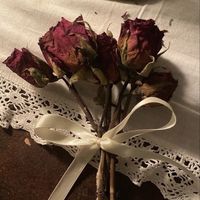 fearless_424