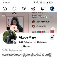 vlove199
