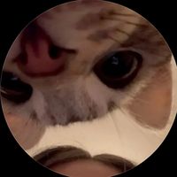 jessesspam_vsx