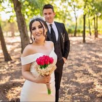 fialki_ailesi
