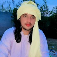 wajed.786