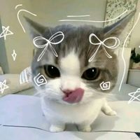 oumyma336