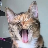 เสียงต้นฉบับ - CSD2_WIGKY(รับตัดคลิป)