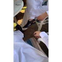 urfv_majnon