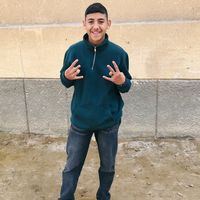 الصوت الأصلي