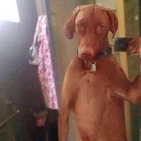 jahcy_222