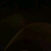 agajanoua_
