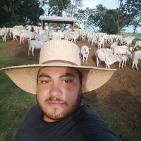 adriano_rosa99