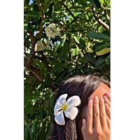 murshida_tasfi