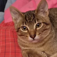 original sound - benji121926