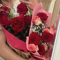 kamilova__05