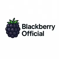 original sound - blackberry_office_3