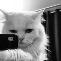 เสียงต้นฉบับ - แอคนี้จะอวดแฟน😾