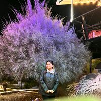 ms_pun7