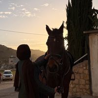 huda_ali062