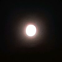 som original - veonox.aep