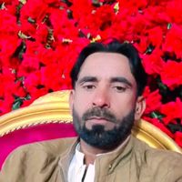 tanzeemali178