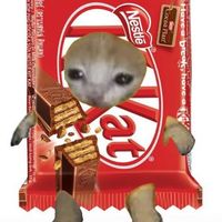 choclvrrr