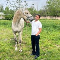 rajabov_veterinar