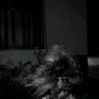 paing.20103