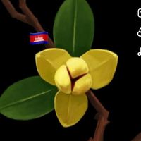 เสียงต้นฉบับ - PLENG.999