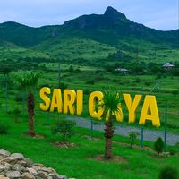 sari_gaya0